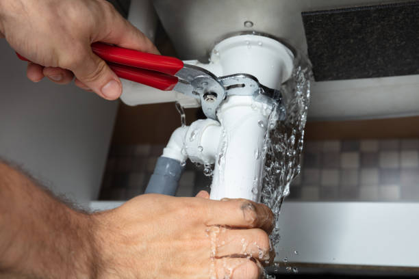 Best Flood restoration services  in Naples, FL