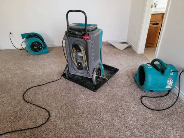 Best Water damage mitigation services  in Naples, FL