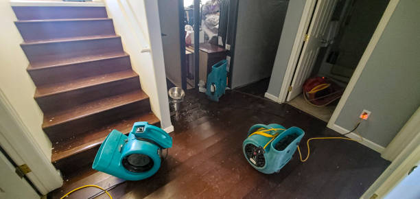 Best Water damage restoration near me  in Naples, FL