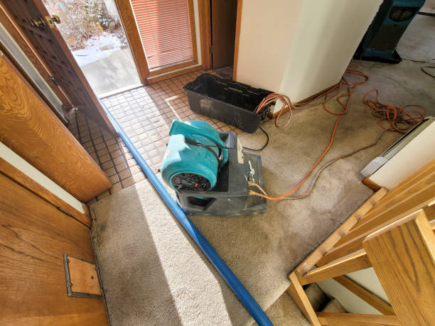 Best Mold removal after water damage  in Naples, FL