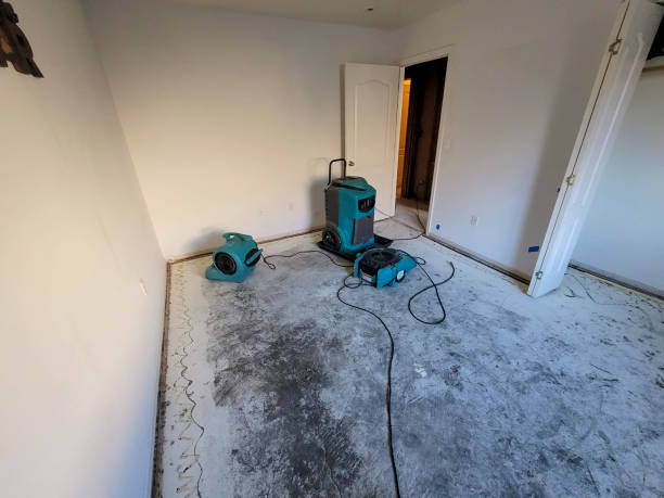 Best Local water damage restoration  in Naples, FL