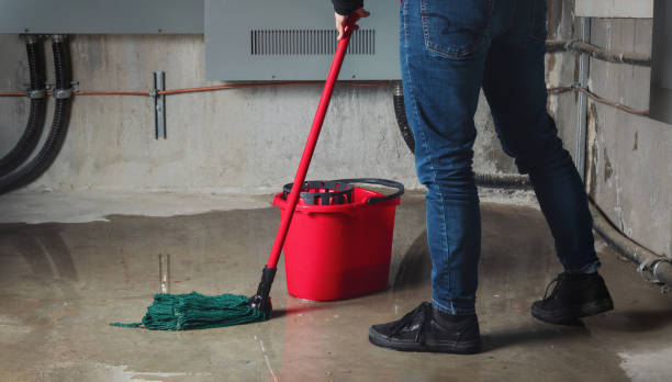 Best Professional water damage repair  in Naples, FL
