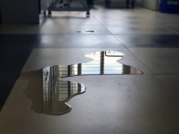 Best 24-hour water damage restoration  in Naples, FL