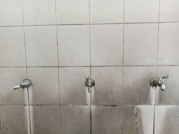 Best Fire Damage Restoration  in Naples, FL