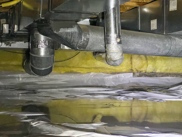 Best Professional water damage repair  in Naples, FL