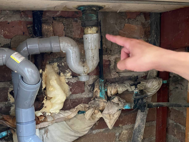 Best Flood damage cleanup  in Naples, FL