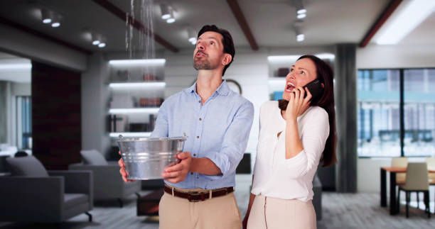 Best Fire Damage Restoration  in Naples, FL